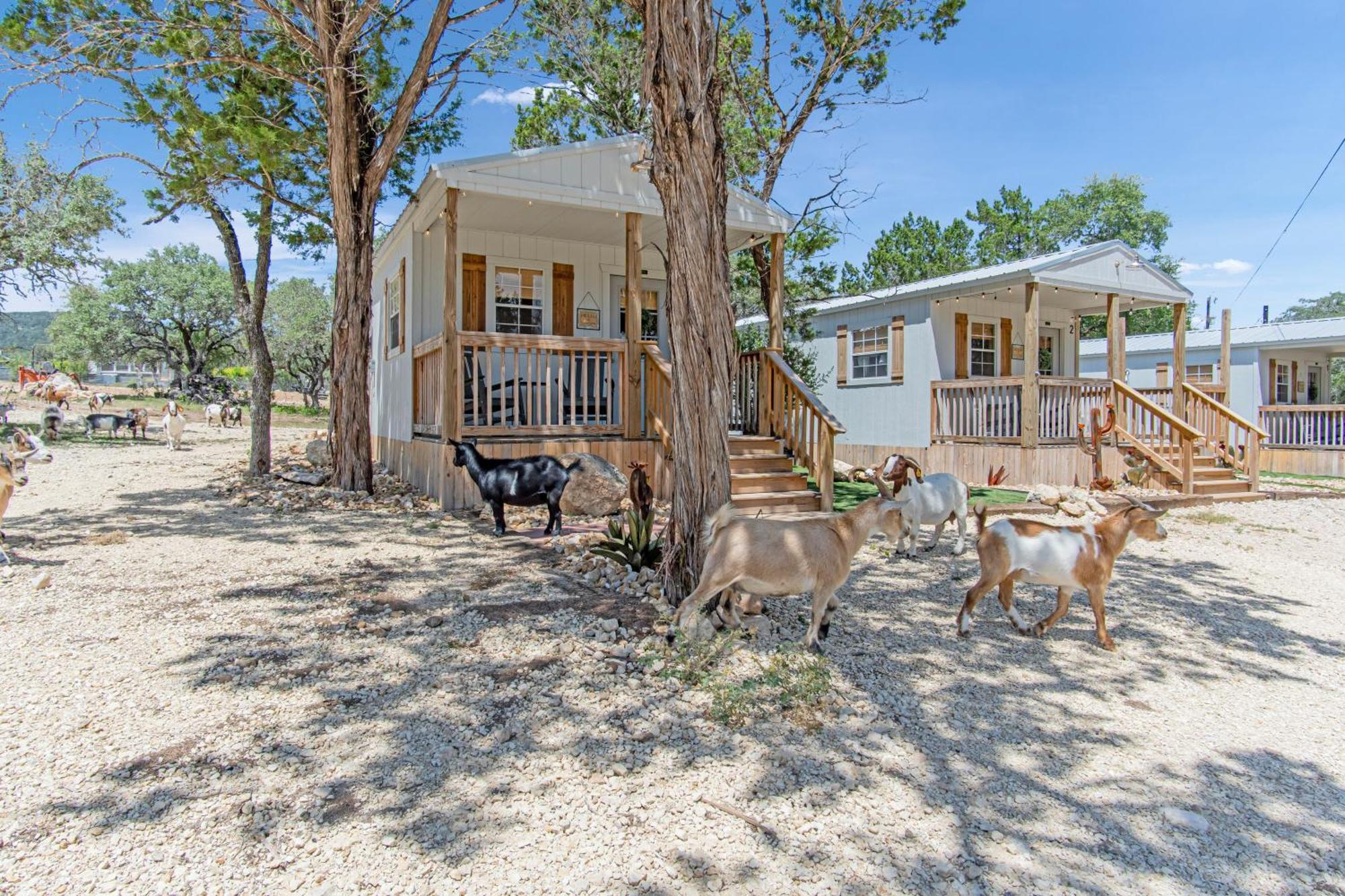Lucky Star Ranch - Stargazer Hotel Tarpley Exterior photo